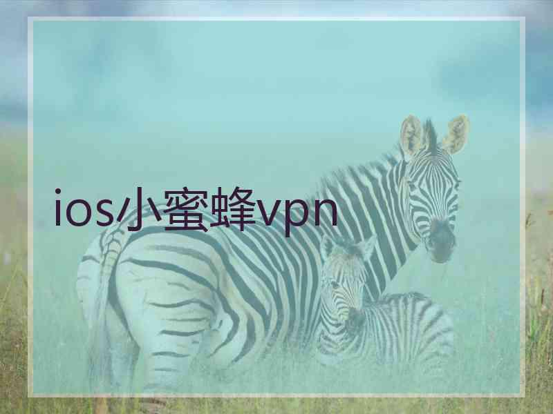 ios小蜜蜂vpn