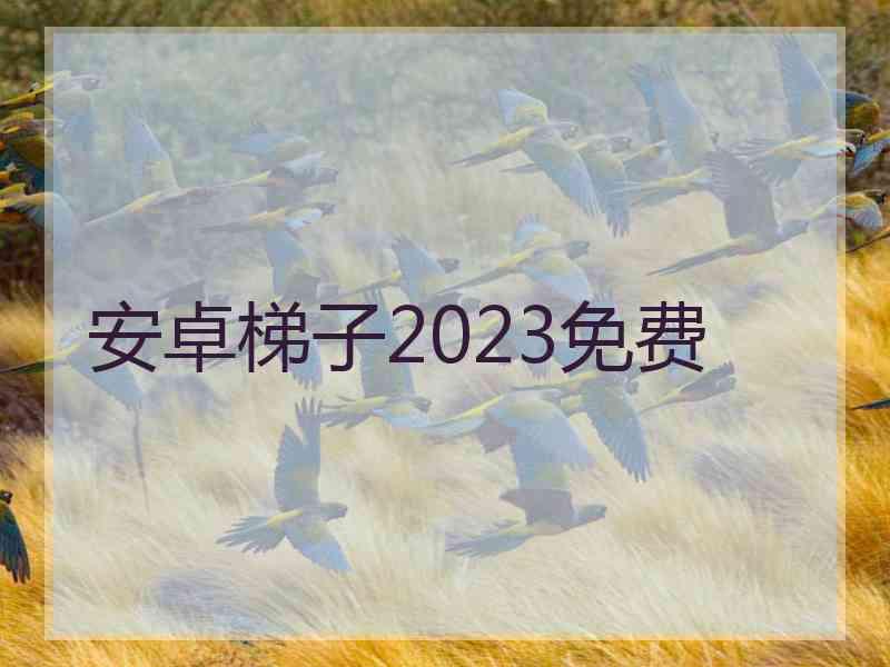 安卓梯子2023免费