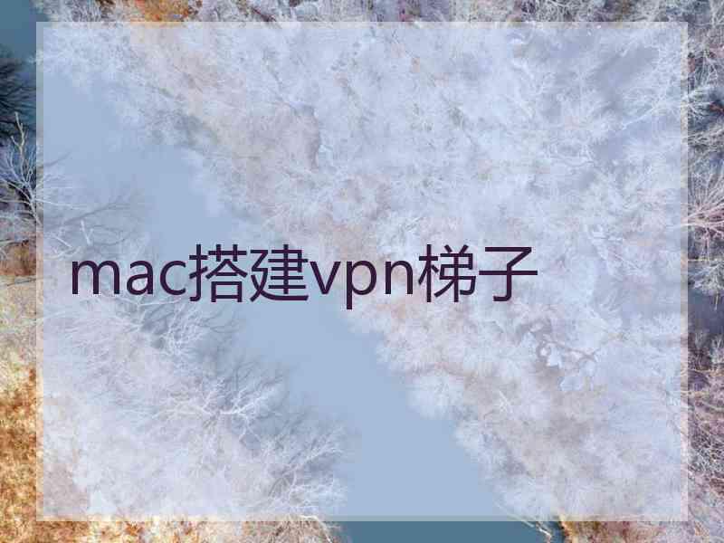 mac搭建vpn梯子