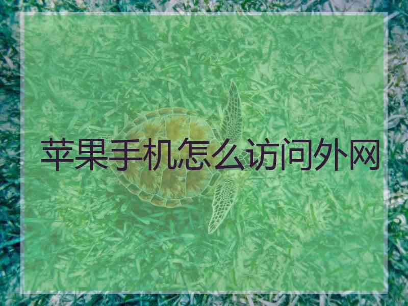 苹果手机怎么访问外网