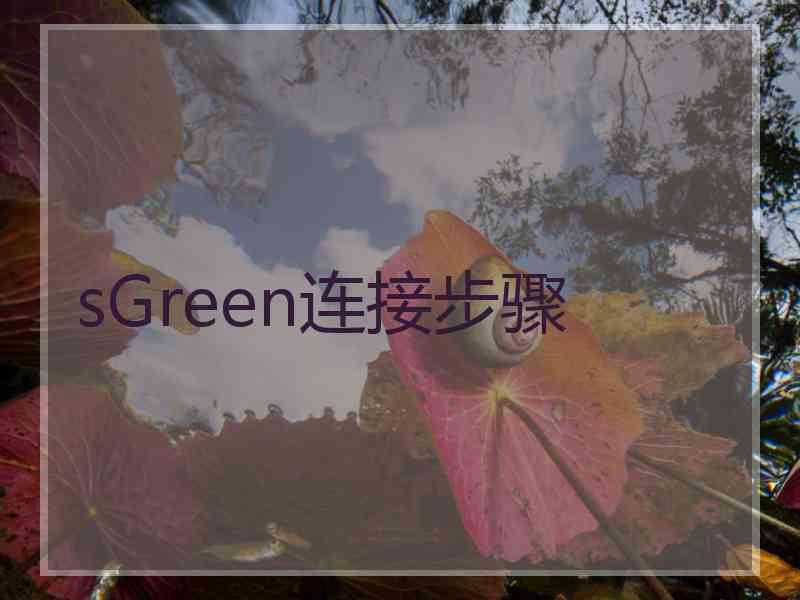 sGreen连接步骤