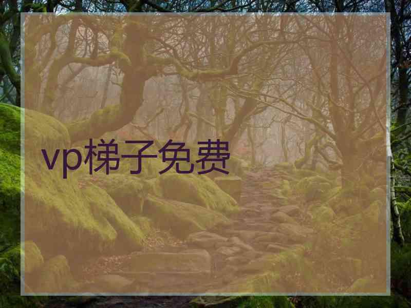 vp梯子免费