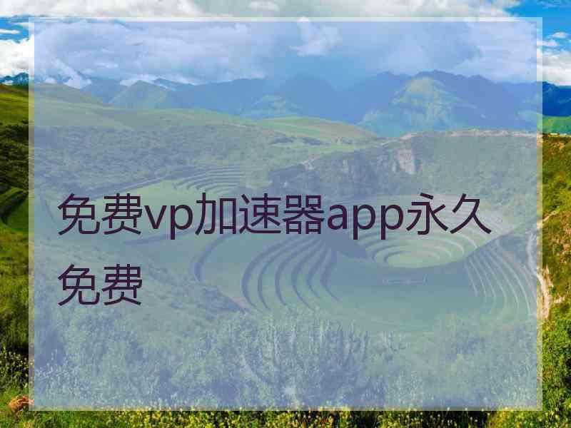 免费vp加速器app永久免费