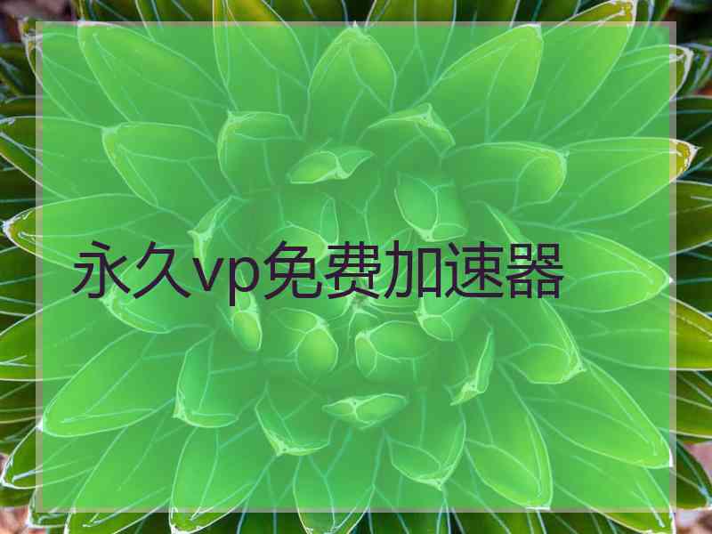 永久vp免费加速器