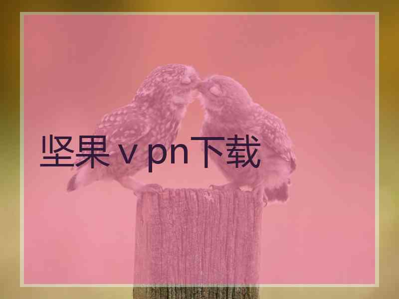 坚果ⅴpn下载