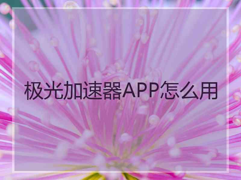 极光加速器APP怎么用