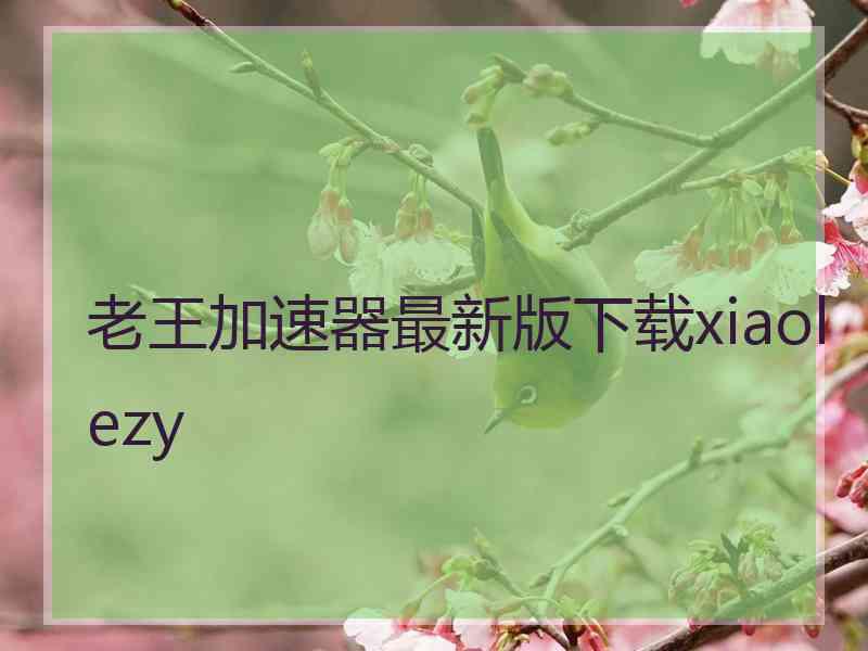 老王加速器最新版下载xiaolezy