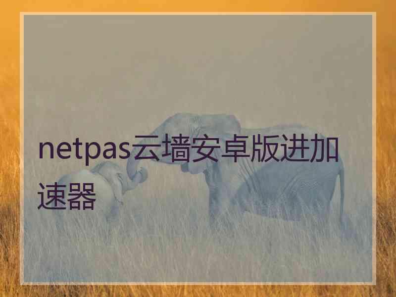 netpas云墙安卓版进加速器