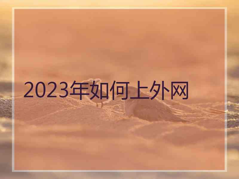 2023年如何上外网