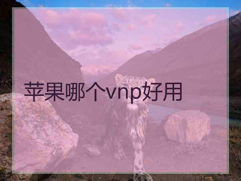 苹果哪个vnp好用