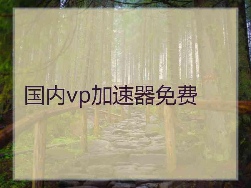 国内vp加速器免费