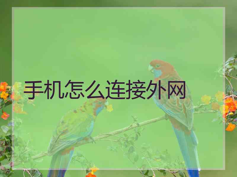 手机怎么连接外网