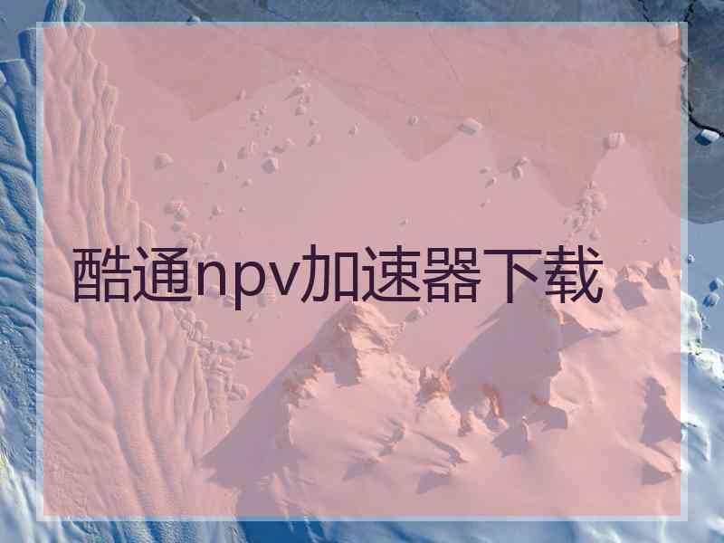 酷通npv加速器下载