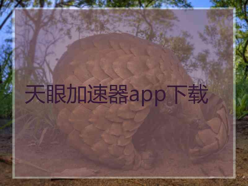 天眼加速器app下载