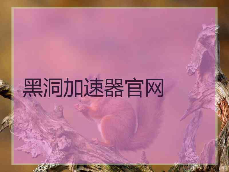 黑洞加速器官网