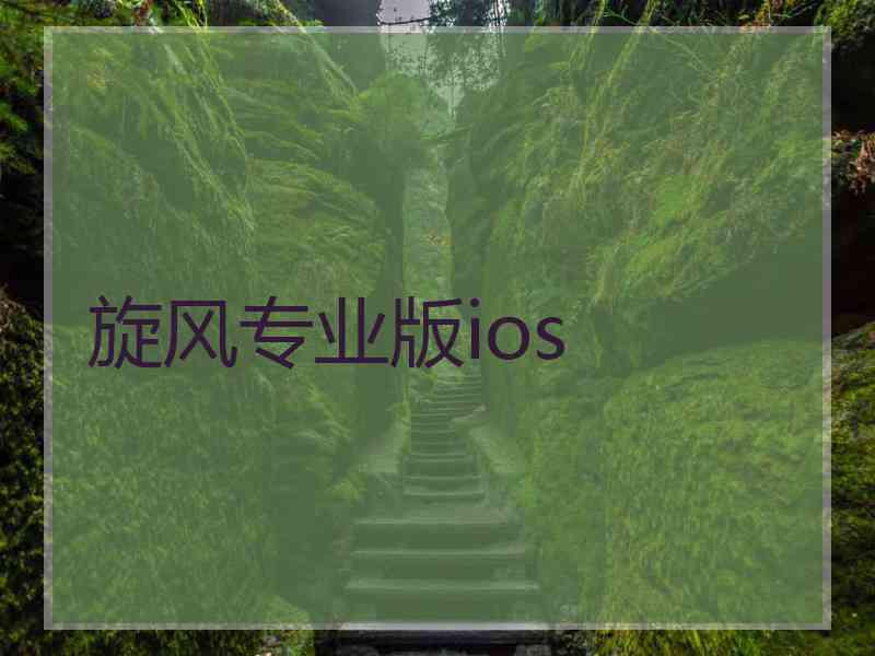 旋风专业版ios