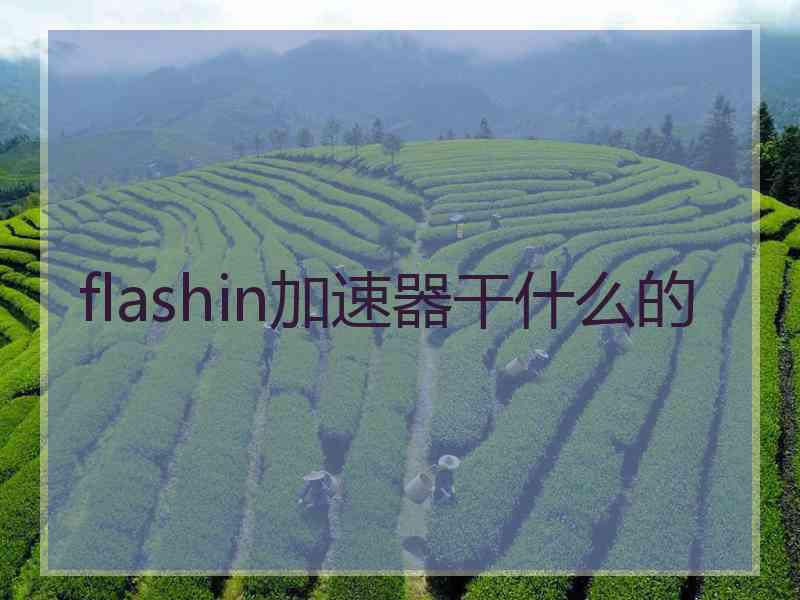 flashin加速器干什么的