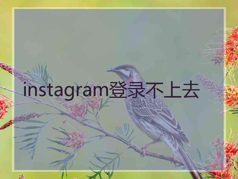 instagram登录不上去