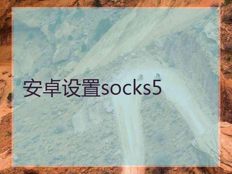 安卓设置socks5