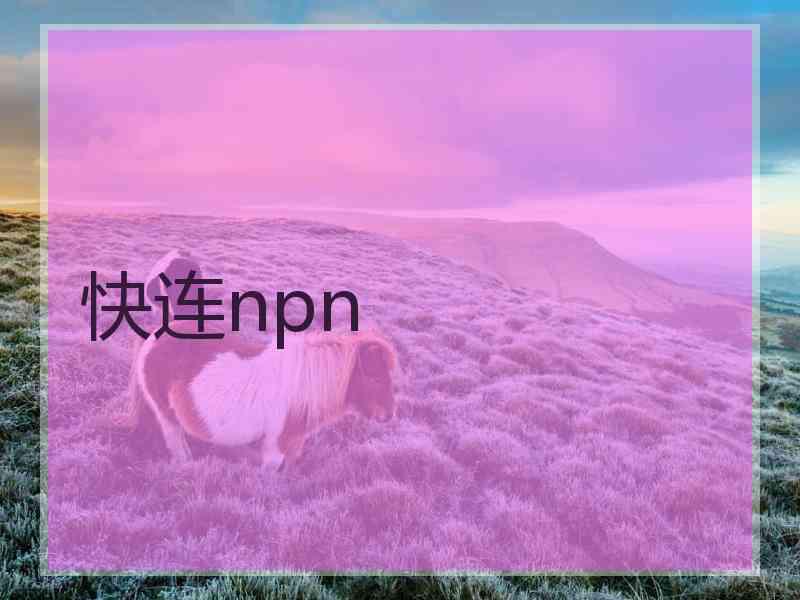 快连npn