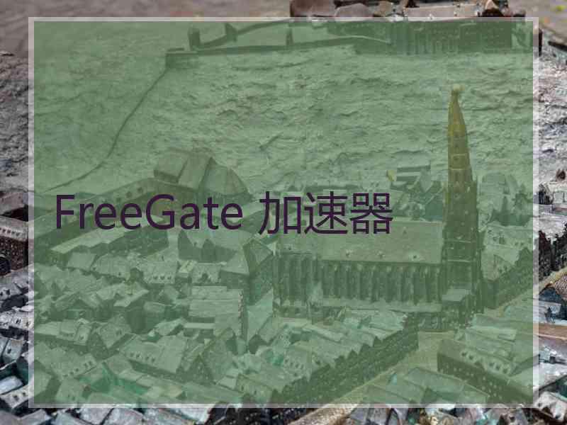 FreeGate 加速器