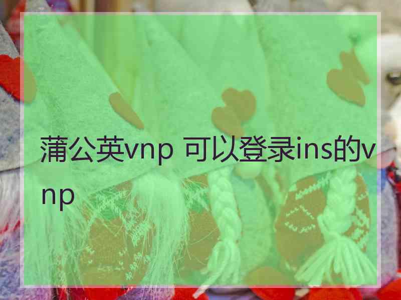 蒲公英vnp 可以登录ins的vnp