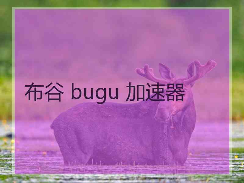 布谷 bugu 加速器