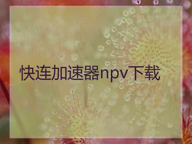 快连加速器npv下载