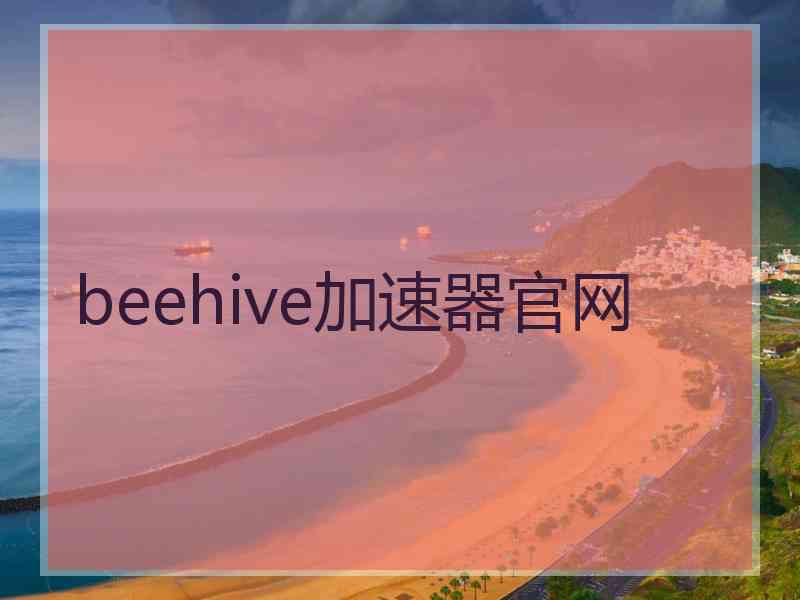 beehive加速器官网