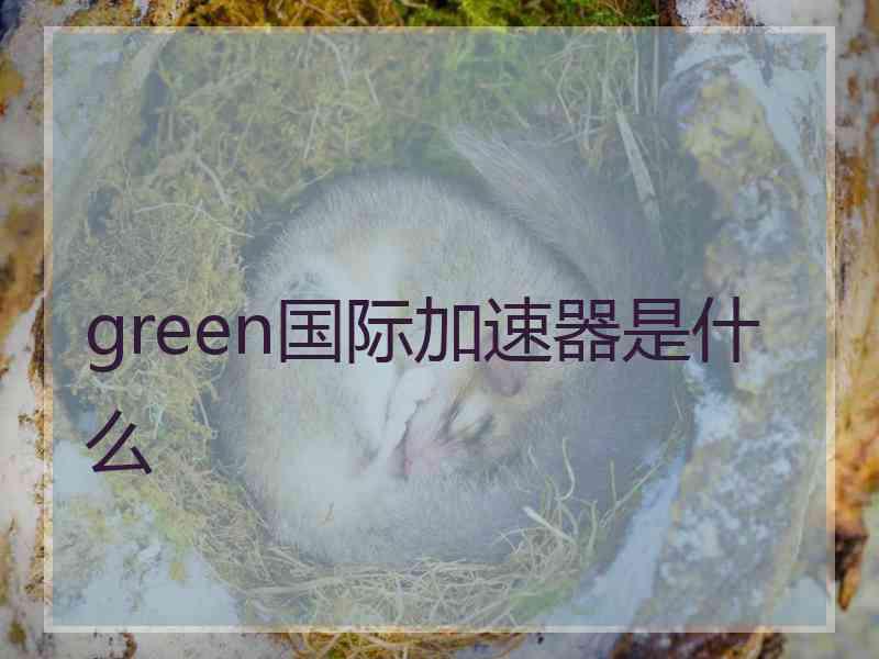 green国际加速器是什么