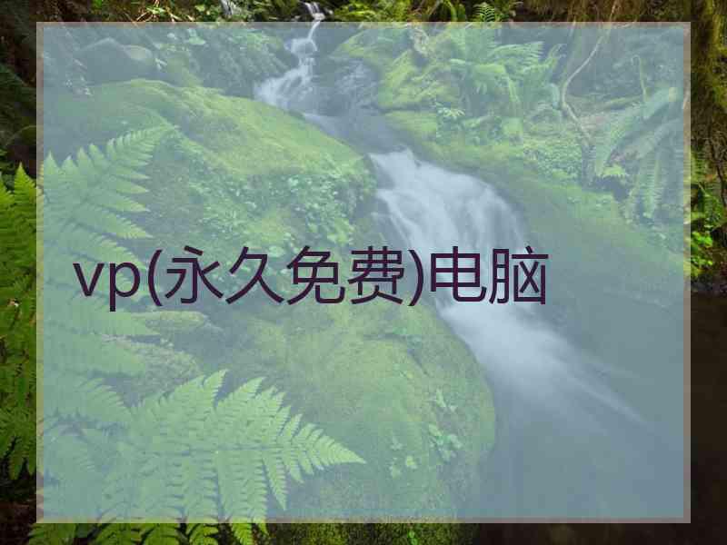 vp(永久免费)电脑