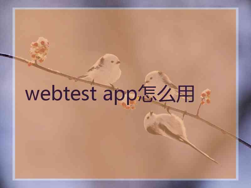 webtest app怎么用