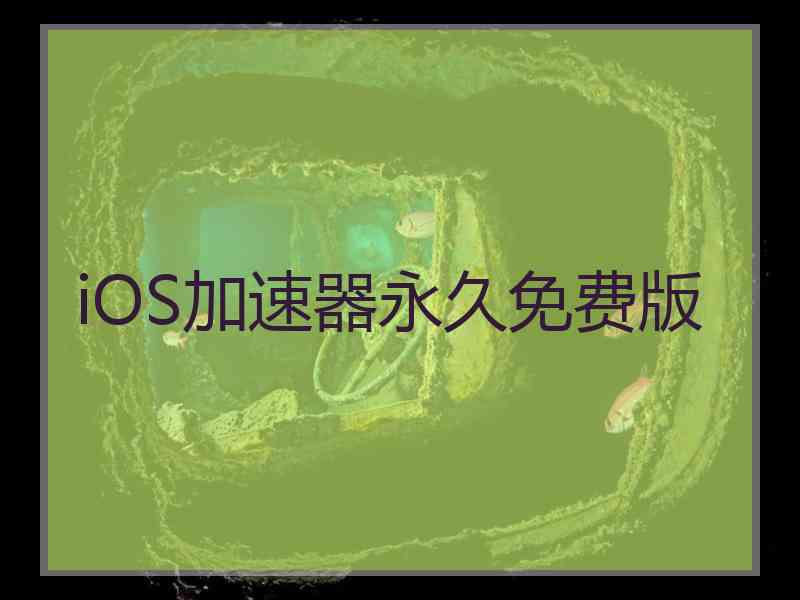 iOS加速器永久免费版