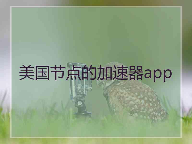 美国节点的加速器app