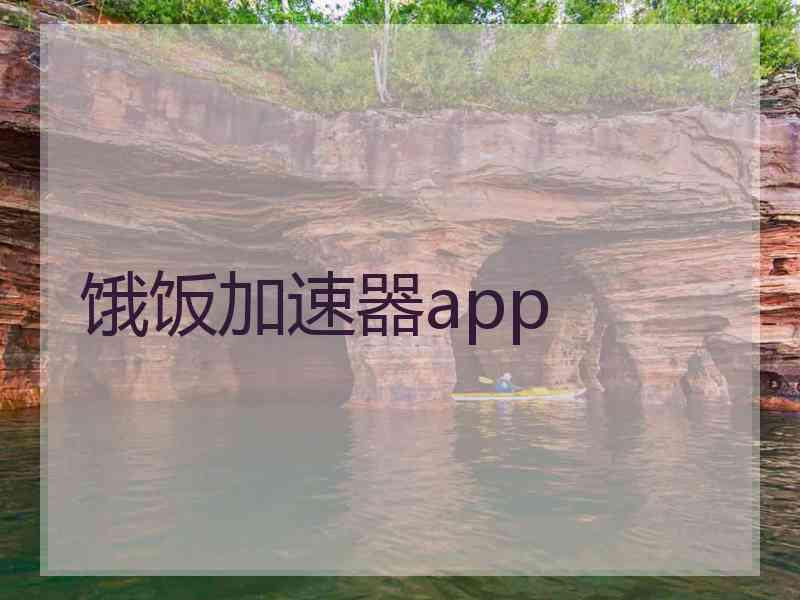 饿饭加速器app