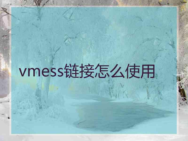 vmess链接怎么使用