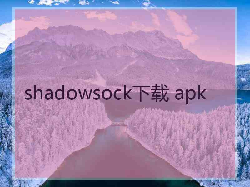 shadowsock下载 apk