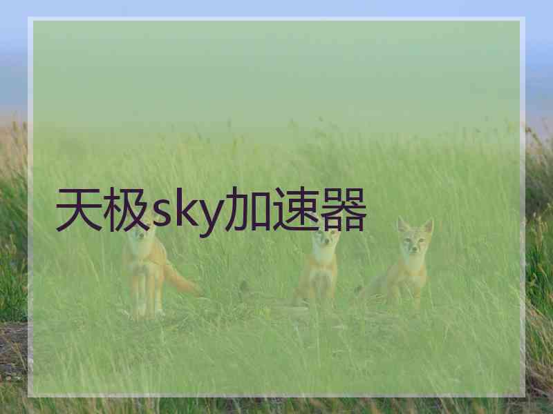 天极sky加速器