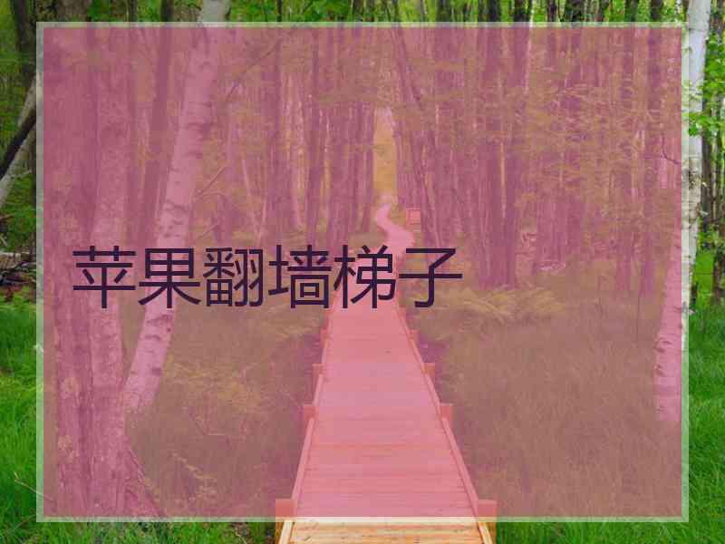 苹果翻墙梯子