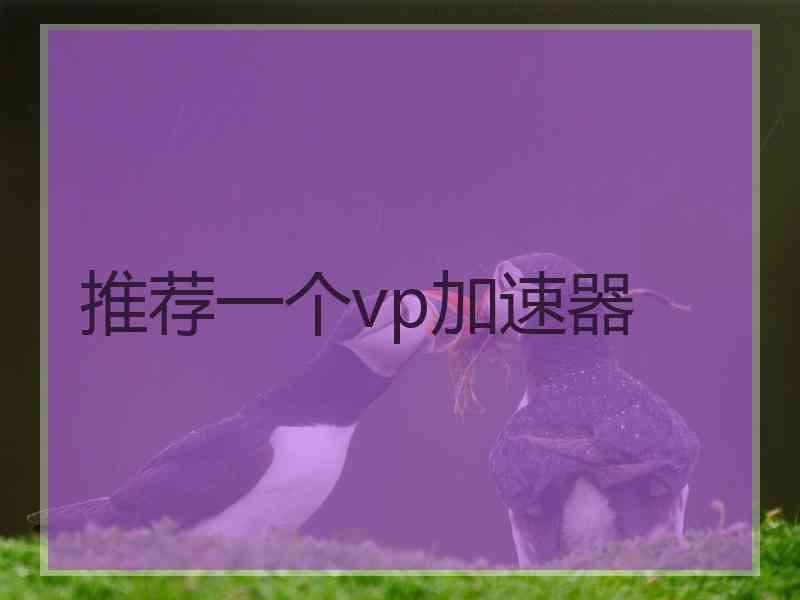 推荐一个vp加速器