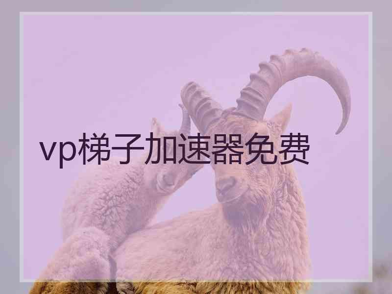 vp梯子加速器免费