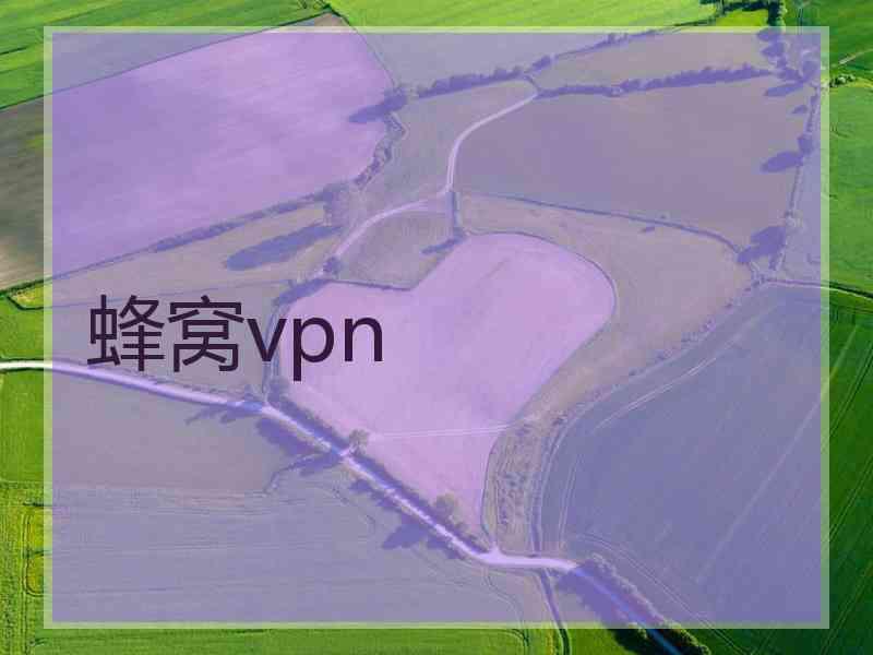 蜂窝vpn