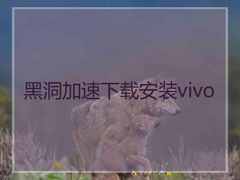 黑洞加速下载安装vivo