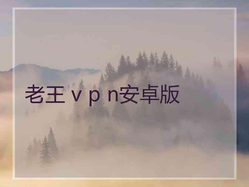 老王 v p n安卓版