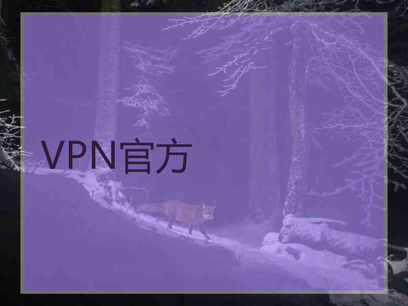 VPN官方