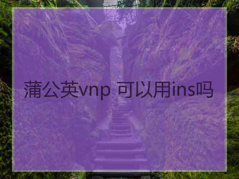 蒲公英vnp 可以用ins吗