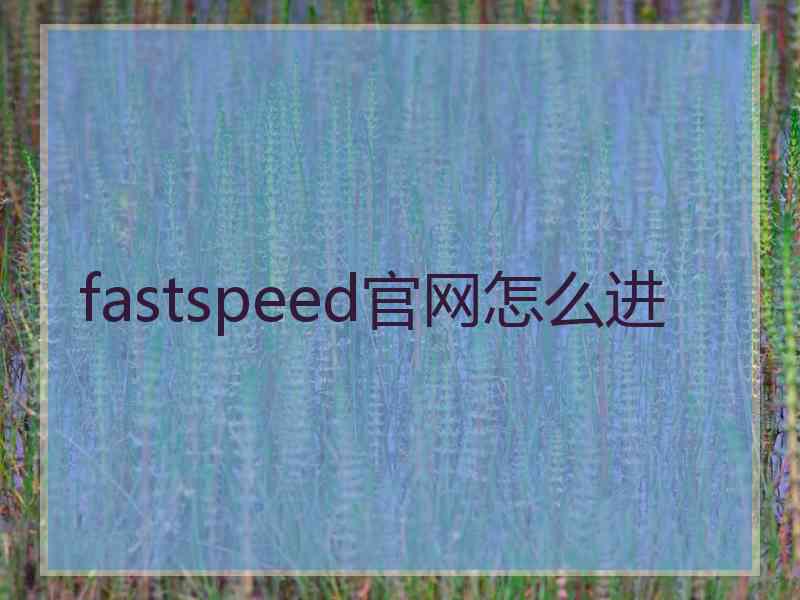 fastspeed官网怎么进