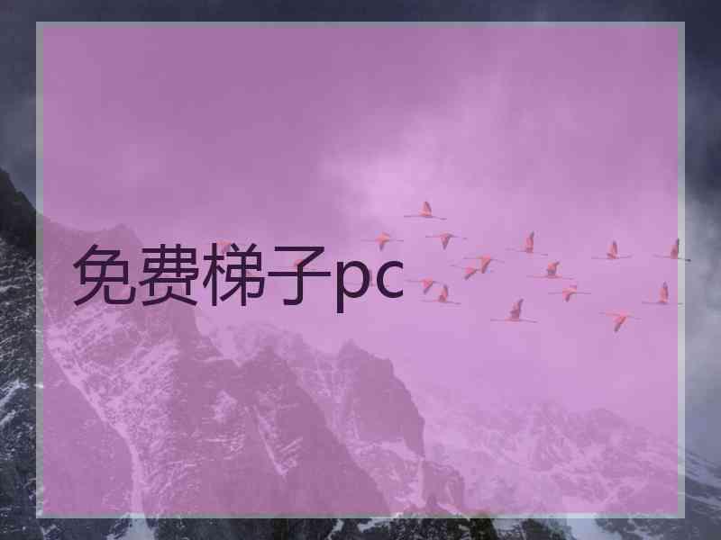 免费梯子pc