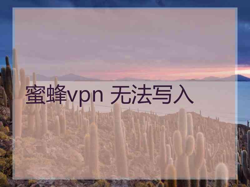 蜜蜂vpn 无法写入