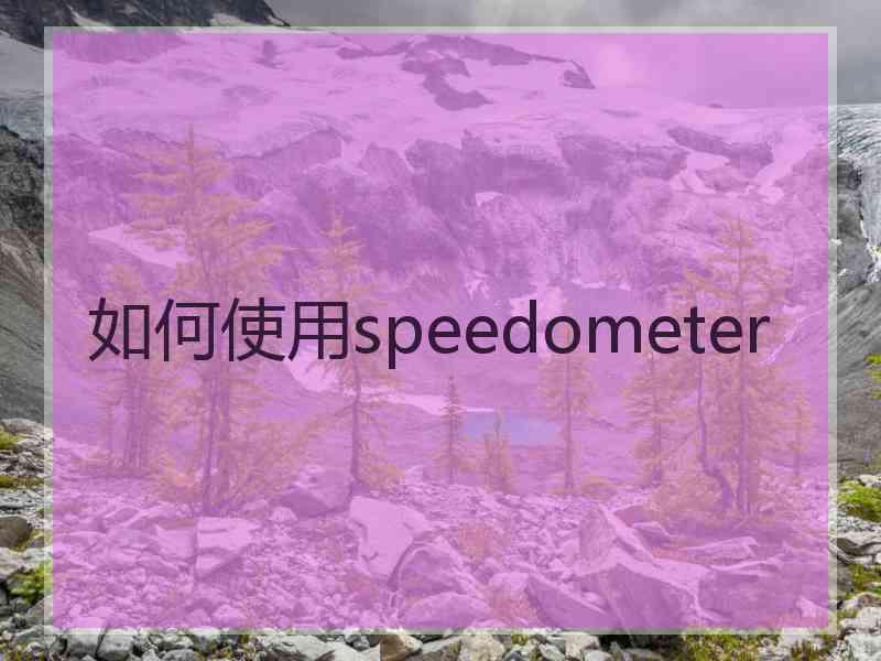 如何使用speedometer